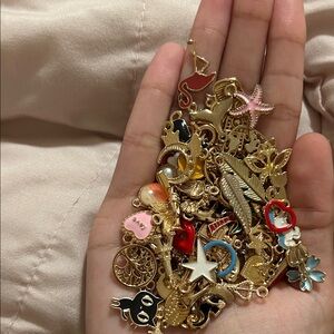 10pk RANDOM Assorted Charms